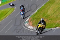 anglesey;brands-hatch;cadwell-park;croft;donington-park;enduro-digital-images;event-digital-images;eventdigitalimages;mallory;no-limits;oulton-park;peter-wileman-photography;racing-digital-images;silverstone;snetterton;trackday-digital-images;trackday-photos;vmcc-banbury-run;welsh-2-day-enduro