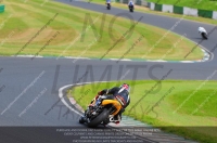 anglesey;brands-hatch;cadwell-park;croft;donington-park;enduro-digital-images;event-digital-images;eventdigitalimages;mallory;no-limits;oulton-park;peter-wileman-photography;racing-digital-images;silverstone;snetterton;trackday-digital-images;trackday-photos;vmcc-banbury-run;welsh-2-day-enduro