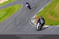 anglesey;brands-hatch;cadwell-park;croft;donington-park;enduro-digital-images;event-digital-images;eventdigitalimages;mallory;no-limits;oulton-park;peter-wileman-photography;racing-digital-images;silverstone;snetterton;trackday-digital-images;trackday-photos;vmcc-banbury-run;welsh-2-day-enduro