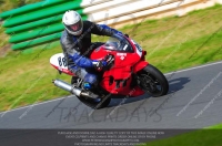 anglesey;brands-hatch;cadwell-park;croft;donington-park;enduro-digital-images;event-digital-images;eventdigitalimages;mallory;no-limits;oulton-park;peter-wileman-photography;racing-digital-images;silverstone;snetterton;trackday-digital-images;trackday-photos;vmcc-banbury-run;welsh-2-day-enduro