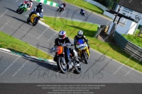 anglesey;brands-hatch;cadwell-park;croft;donington-park;enduro-digital-images;event-digital-images;eventdigitalimages;mallory;no-limits;oulton-park;peter-wileman-photography;racing-digital-images;silverstone;snetterton;trackday-digital-images;trackday-photos;vmcc-banbury-run;welsh-2-day-enduro