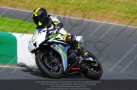 anglesey;brands-hatch;cadwell-park;croft;donington-park;enduro-digital-images;event-digital-images;eventdigitalimages;mallory;no-limits;oulton-park;peter-wileman-photography;racing-digital-images;silverstone;snetterton;trackday-digital-images;trackday-photos;vmcc-banbury-run;welsh-2-day-enduro