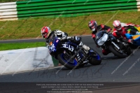 anglesey;brands-hatch;cadwell-park;croft;donington-park;enduro-digital-images;event-digital-images;eventdigitalimages;mallory;no-limits;oulton-park;peter-wileman-photography;racing-digital-images;silverstone;snetterton;trackday-digital-images;trackday-photos;vmcc-banbury-run;welsh-2-day-enduro