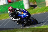 anglesey;brands-hatch;cadwell-park;croft;donington-park;enduro-digital-images;event-digital-images;eventdigitalimages;mallory;no-limits;oulton-park;peter-wileman-photography;racing-digital-images;silverstone;snetterton;trackday-digital-images;trackday-photos;vmcc-banbury-run;welsh-2-day-enduro