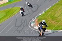 anglesey;brands-hatch;cadwell-park;croft;donington-park;enduro-digital-images;event-digital-images;eventdigitalimages;mallory;no-limits;oulton-park;peter-wileman-photography;racing-digital-images;silverstone;snetterton;trackday-digital-images;trackday-photos;vmcc-banbury-run;welsh-2-day-enduro