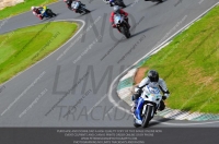 anglesey;brands-hatch;cadwell-park;croft;donington-park;enduro-digital-images;event-digital-images;eventdigitalimages;mallory;no-limits;oulton-park;peter-wileman-photography;racing-digital-images;silverstone;snetterton;trackday-digital-images;trackday-photos;vmcc-banbury-run;welsh-2-day-enduro