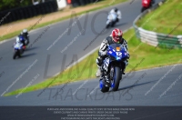 anglesey;brands-hatch;cadwell-park;croft;donington-park;enduro-digital-images;event-digital-images;eventdigitalimages;mallory;no-limits;oulton-park;peter-wileman-photography;racing-digital-images;silverstone;snetterton;trackday-digital-images;trackday-photos;vmcc-banbury-run;welsh-2-day-enduro