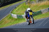 anglesey;brands-hatch;cadwell-park;croft;donington-park;enduro-digital-images;event-digital-images;eventdigitalimages;mallory;no-limits;oulton-park;peter-wileman-photography;racing-digital-images;silverstone;snetterton;trackday-digital-images;trackday-photos;vmcc-banbury-run;welsh-2-day-enduro