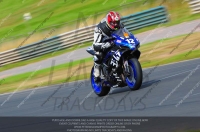 anglesey;brands-hatch;cadwell-park;croft;donington-park;enduro-digital-images;event-digital-images;eventdigitalimages;mallory;no-limits;oulton-park;peter-wileman-photography;racing-digital-images;silverstone;snetterton;trackday-digital-images;trackday-photos;vmcc-banbury-run;welsh-2-day-enduro