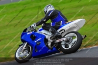 anglesey;brands-hatch;cadwell-park;croft;donington-park;enduro-digital-images;event-digital-images;eventdigitalimages;mallory;no-limits;oulton-park;peter-wileman-photography;racing-digital-images;silverstone;snetterton;trackday-digital-images;trackday-photos;vmcc-banbury-run;welsh-2-day-enduro