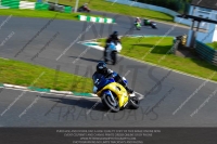 anglesey;brands-hatch;cadwell-park;croft;donington-park;enduro-digital-images;event-digital-images;eventdigitalimages;mallory;no-limits;oulton-park;peter-wileman-photography;racing-digital-images;silverstone;snetterton;trackday-digital-images;trackday-photos;vmcc-banbury-run;welsh-2-day-enduro