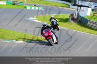 anglesey;brands-hatch;cadwell-park;croft;donington-park;enduro-digital-images;event-digital-images;eventdigitalimages;mallory;no-limits;oulton-park;peter-wileman-photography;racing-digital-images;silverstone;snetterton;trackday-digital-images;trackday-photos;vmcc-banbury-run;welsh-2-day-enduro