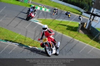 anglesey;brands-hatch;cadwell-park;croft;donington-park;enduro-digital-images;event-digital-images;eventdigitalimages;mallory;no-limits;oulton-park;peter-wileman-photography;racing-digital-images;silverstone;snetterton;trackday-digital-images;trackday-photos;vmcc-banbury-run;welsh-2-day-enduro