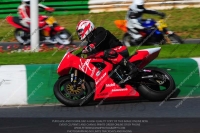 anglesey;brands-hatch;cadwell-park;croft;donington-park;enduro-digital-images;event-digital-images;eventdigitalimages;mallory;no-limits;oulton-park;peter-wileman-photography;racing-digital-images;silverstone;snetterton;trackday-digital-images;trackday-photos;vmcc-banbury-run;welsh-2-day-enduro