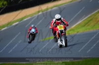 anglesey;brands-hatch;cadwell-park;croft;donington-park;enduro-digital-images;event-digital-images;eventdigitalimages;mallory;no-limits;oulton-park;peter-wileman-photography;racing-digital-images;silverstone;snetterton;trackday-digital-images;trackday-photos;vmcc-banbury-run;welsh-2-day-enduro