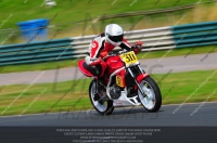 anglesey;brands-hatch;cadwell-park;croft;donington-park;enduro-digital-images;event-digital-images;eventdigitalimages;mallory;no-limits;oulton-park;peter-wileman-photography;racing-digital-images;silverstone;snetterton;trackday-digital-images;trackday-photos;vmcc-banbury-run;welsh-2-day-enduro