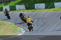 anglesey;brands-hatch;cadwell-park;croft;donington-park;enduro-digital-images;event-digital-images;eventdigitalimages;mallory;no-limits;oulton-park;peter-wileman-photography;racing-digital-images;silverstone;snetterton;trackday-digital-images;trackday-photos;vmcc-banbury-run;welsh-2-day-enduro