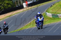 anglesey;brands-hatch;cadwell-park;croft;donington-park;enduro-digital-images;event-digital-images;eventdigitalimages;mallory;no-limits;oulton-park;peter-wileman-photography;racing-digital-images;silverstone;snetterton;trackday-digital-images;trackday-photos;vmcc-banbury-run;welsh-2-day-enduro