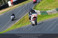 anglesey;brands-hatch;cadwell-park;croft;donington-park;enduro-digital-images;event-digital-images;eventdigitalimages;mallory;no-limits;oulton-park;peter-wileman-photography;racing-digital-images;silverstone;snetterton;trackday-digital-images;trackday-photos;vmcc-banbury-run;welsh-2-day-enduro