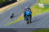 anglesey;brands-hatch;cadwell-park;croft;donington-park;enduro-digital-images;event-digital-images;eventdigitalimages;mallory;no-limits;oulton-park;peter-wileman-photography;racing-digital-images;silverstone;snetterton;trackday-digital-images;trackday-photos;vmcc-banbury-run;welsh-2-day-enduro