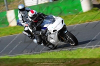 anglesey;brands-hatch;cadwell-park;croft;donington-park;enduro-digital-images;event-digital-images;eventdigitalimages;mallory;no-limits;oulton-park;peter-wileman-photography;racing-digital-images;silverstone;snetterton;trackday-digital-images;trackday-photos;vmcc-banbury-run;welsh-2-day-enduro