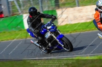 anglesey;brands-hatch;cadwell-park;croft;donington-park;enduro-digital-images;event-digital-images;eventdigitalimages;mallory;no-limits;oulton-park;peter-wileman-photography;racing-digital-images;silverstone;snetterton;trackday-digital-images;trackday-photos;vmcc-banbury-run;welsh-2-day-enduro