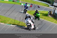 anglesey;brands-hatch;cadwell-park;croft;donington-park;enduro-digital-images;event-digital-images;eventdigitalimages;mallory;no-limits;oulton-park;peter-wileman-photography;racing-digital-images;silverstone;snetterton;trackday-digital-images;trackday-photos;vmcc-banbury-run;welsh-2-day-enduro