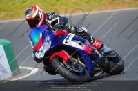 anglesey;brands-hatch;cadwell-park;croft;donington-park;enduro-digital-images;event-digital-images;eventdigitalimages;mallory;no-limits;oulton-park;peter-wileman-photography;racing-digital-images;silverstone;snetterton;trackday-digital-images;trackday-photos;vmcc-banbury-run;welsh-2-day-enduro