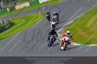 anglesey;brands-hatch;cadwell-park;croft;donington-park;enduro-digital-images;event-digital-images;eventdigitalimages;mallory;no-limits;oulton-park;peter-wileman-photography;racing-digital-images;silverstone;snetterton;trackday-digital-images;trackday-photos;vmcc-banbury-run;welsh-2-day-enduro