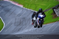 anglesey;brands-hatch;cadwell-park;croft;donington-park;enduro-digital-images;event-digital-images;eventdigitalimages;mallory;no-limits;oulton-park;peter-wileman-photography;racing-digital-images;silverstone;snetterton;trackday-digital-images;trackday-photos;vmcc-banbury-run;welsh-2-day-enduro