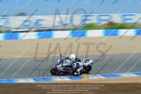 20-to-22th-july-2013;Jerez;event-digital-images;motorbikes;no-limits;peter-wileman-photography;trackday;trackday-digital-images