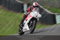 enduro-digital-images;event-digital-images;eventdigitalimages;no-limits-trackdays;oulton-no-limits-trackday;oulton-park-cheshire;oulton-trackday-photographs;peter-wileman-photography;racing-digital-images;trackday-digital-images;trackday-photos