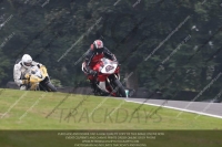 enduro-digital-images;event-digital-images;eventdigitalimages;no-limits-trackdays;oulton-no-limits-trackday;oulton-park-cheshire;oulton-trackday-photographs;peter-wileman-photography;racing-digital-images;trackday-digital-images;trackday-photos