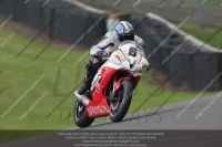 enduro-digital-images;event-digital-images;eventdigitalimages;no-limits-trackdays;oulton-no-limits-trackday;oulton-park-cheshire;oulton-trackday-photographs;peter-wileman-photography;racing-digital-images;trackday-digital-images;trackday-photos