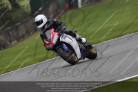 anglesey;brands-hatch;cadwell-park;croft;donington-park;enduro-digital-images;event-digital-images;eventdigitalimages;mallory;no-limits;oulton-park;peter-wileman-photography;racing-digital-images;silverstone;snetterton;trackday-digital-images;trackday-photos;vmcc-banbury-run;welsh-2-day-enduro