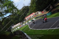 cadwell-no-limits-trackday;cadwell-park;cadwell-park-photographs;cadwell-trackday-photographs;enduro-digital-images;event-digital-images;eventdigitalimages;no-limits-trackdays;peter-wileman-photography;racing-digital-images;trackday-digital-images;trackday-photos