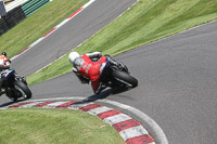 cadwell-no-limits-trackday;cadwell-park;cadwell-park-photographs;cadwell-trackday-photographs;enduro-digital-images;event-digital-images;eventdigitalimages;no-limits-trackdays;peter-wileman-photography;racing-digital-images;trackday-digital-images;trackday-photos