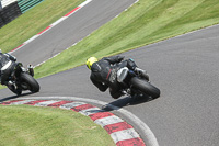 cadwell-no-limits-trackday;cadwell-park;cadwell-park-photographs;cadwell-trackday-photographs;enduro-digital-images;event-digital-images;eventdigitalimages;no-limits-trackdays;peter-wileman-photography;racing-digital-images;trackday-digital-images;trackday-photos