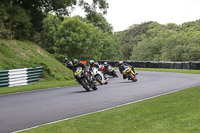 cadwell-no-limits-trackday;cadwell-park;cadwell-park-photographs;cadwell-trackday-photographs;enduro-digital-images;event-digital-images;eventdigitalimages;no-limits-trackdays;peter-wileman-photography;racing-digital-images;trackday-digital-images;trackday-photos