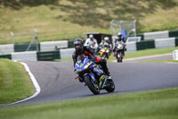 cadwell-no-limits-trackday;cadwell-park;cadwell-park-photographs;cadwell-trackday-photographs;enduro-digital-images;event-digital-images;eventdigitalimages;no-limits-trackdays;peter-wileman-photography;racing-digital-images;trackday-digital-images;trackday-photos