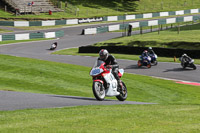 cadwell-no-limits-trackday;cadwell-park;cadwell-park-photographs;cadwell-trackday-photographs;enduro-digital-images;event-digital-images;eventdigitalimages;no-limits-trackdays;peter-wileman-photography;racing-digital-images;trackday-digital-images;trackday-photos