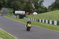 Inter Green/Yellow Bikes