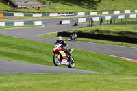 cadwell-no-limits-trackday;cadwell-park;cadwell-park-photographs;cadwell-trackday-photographs;enduro-digital-images;event-digital-images;eventdigitalimages;no-limits-trackdays;peter-wileman-photography;racing-digital-images;trackday-digital-images;trackday-photos