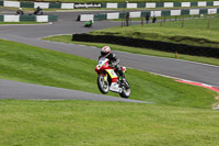 cadwell-no-limits-trackday;cadwell-park;cadwell-park-photographs;cadwell-trackday-photographs;enduro-digital-images;event-digital-images;eventdigitalimages;no-limits-trackdays;peter-wileman-photography;racing-digital-images;trackday-digital-images;trackday-photos