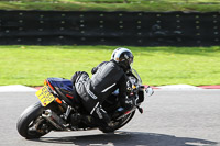 brands-hatch-photographs;brands-no-limits-trackday;cadwell-trackday-photographs;enduro-digital-images;event-digital-images;eventdigitalimages;no-limits-trackdays;peter-wileman-photography;racing-digital-images;trackday-digital-images;trackday-photos