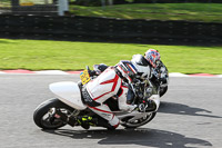 brands-hatch-photographs;brands-no-limits-trackday;cadwell-trackday-photographs;enduro-digital-images;event-digital-images;eventdigitalimages;no-limits-trackdays;peter-wileman-photography;racing-digital-images;trackday-digital-images;trackday-photos