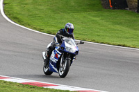 brands-hatch-photographs;brands-no-limits-trackday;cadwell-trackday-photographs;enduro-digital-images;event-digital-images;eventdigitalimages;no-limits-trackdays;peter-wileman-photography;racing-digital-images;trackday-digital-images;trackday-photos