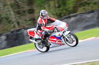 anglesey;brands-hatch;cadwell-park;croft;donington-park;enduro-digital-images;event-digital-images;eventdigitalimages;mallory;no-limits;oulton-park;peter-wileman-photography;racing-digital-images;silverstone;snetterton;trackday-digital-images;trackday-photos;vmcc-banbury-run;welsh-2-day-enduro