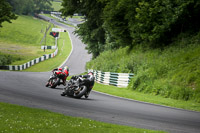 cadwell-no-limits-trackday;cadwell-park;cadwell-park-photographs;cadwell-trackday-photographs;enduro-digital-images;event-digital-images;eventdigitalimages;no-limits-trackdays;peter-wileman-photography;racing-digital-images;trackday-digital-images;trackday-photos