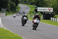 cadwell-no-limits-trackday;cadwell-park;cadwell-park-photographs;cadwell-trackday-photographs;enduro-digital-images;event-digital-images;eventdigitalimages;no-limits-trackdays;peter-wileman-photography;racing-digital-images;trackday-digital-images;trackday-photos